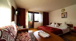 Pensiunea Margaritar - Image 2