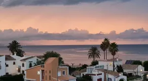 Los Naranjos - Image 4