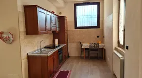 Dasylirion Vacanze - Image 3