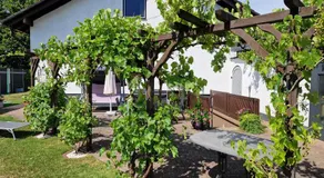 Ferienwohnung Harmonie - Image 4
