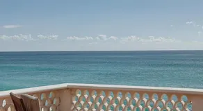 Liebre Matrera - Image 4