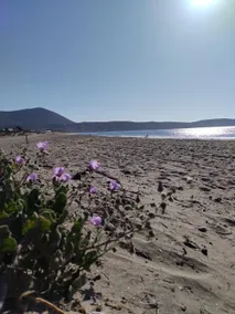 El Nido del Colibrí - Image 5