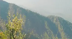 Maayaa Ridge House - Image 2