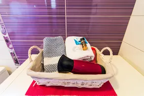 Great Alexander Suites - Image 5