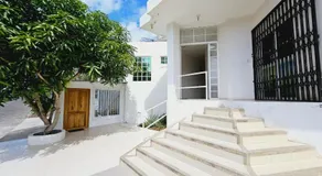 Sea Lion Suite 02 - Image 3