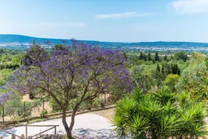 ES PINAR - Image 5