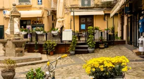 Radici Tropea - Image 5