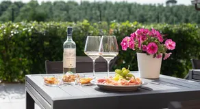 Idea Resort- Tuscan Home - Image 5