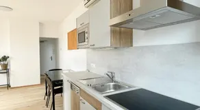 Reinisch Apartments - Image 3