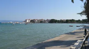 Koko - Image 4