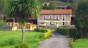 Fancornio Rural - Image 5