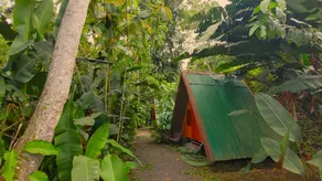Chalets Silencio del Bosque - Image 5