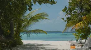 Avi Cabana - Image 3