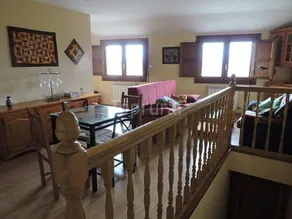 Calao de Cuatro Copas - Image 4