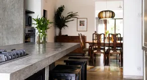 "27" Spathodea- Oasis in the City - Image 2