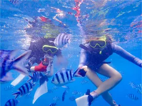 Okinawa Pool Villa Onna 6B - Image 2