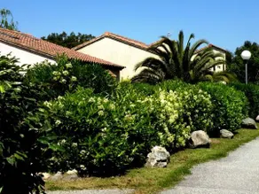 Residence de Tourisme Marina Corsa - Image 3
