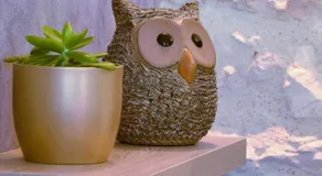 AU LOGIS DES CHOUETTES, proche de Verdun et ses champs de bataille - Image 4