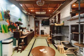 Cat Spa & Cat Ryokan by Neco Republic Osaka - Image 4