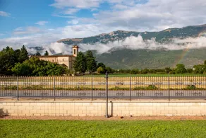 La Villa dei Tartufi - B&B - Image 4