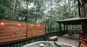 Pioneer Lodge - Cozy Cabin in Blue Ridge - Image 3