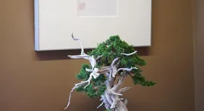 Aoyamadai Bettei - Image 5