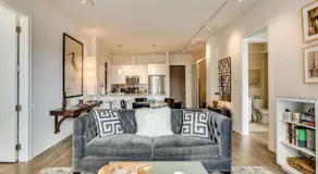 Designer 3BR with Balcony & Elevator on Clark! apts - Image 2