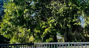 Modern Maple Flat - Image 4