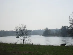 Ferienhaus in Well am Maasduinen Park - Image 5
