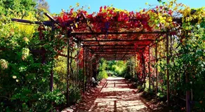White House Bendigo Garden Retreat - Image 3