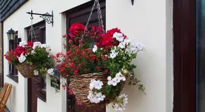 The Stableyard - Image 3