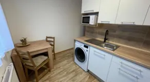 Apartmán Strážný - Image 4