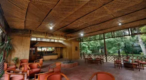 Chitwan Paradise Hotel - Image 5