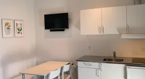 Vorbasse Holiday Apartments - Image 3