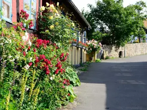 4 star holiday home in Allinge - Image 4