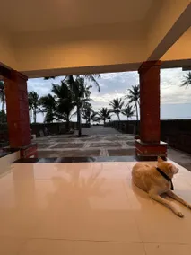 VishwaGeeta - Image 5