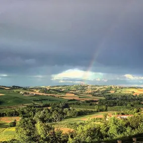 La Bordona Monferrato cobalto e corallo - Image 4