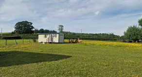 Cwtch Glamping Shepherds Huts - Image 5