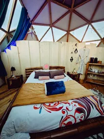 Geodesic dome! Last-minute PROMO! - Image 2