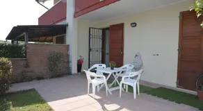 BBgreen - Image 3