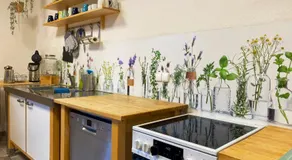Steffis Hostel Heidelberg - Image 4