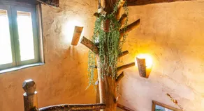 Apartamentos Turisticos La Alqueria De Valverde - Image 3