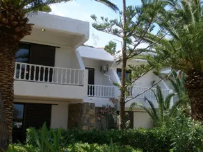 AVRA PALM - Image 3