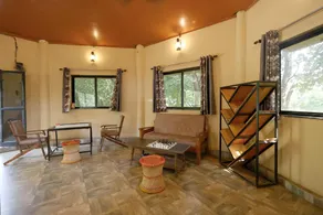 PENCH TIGER PLANET - Image 4