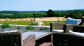 Fig Tree House - Image 4