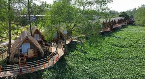 Coco Island Cồn Phụng - Image 5