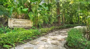 Songbirds Rainforest Retreat - Image 5