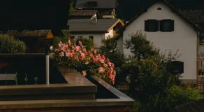 Eckis Appartements - Image 3