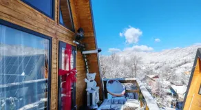 Carpatina A-Frame Retreat - Rustic Cabins for Couples - Image 3