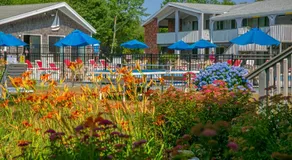 Eastwood at Provincetown - Image 4